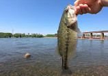 Tennessee Riverpark: Fishing Park