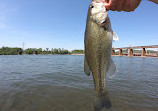 Tennessee Riverpark: Fishing Park