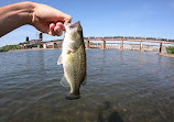 Tennessee Riverpark: Fishing Park