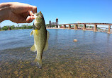 Tennessee Riverpark: Fishing Park