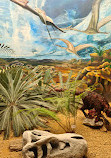 Museo de Paleontología Eliseo Palacios Aguilera