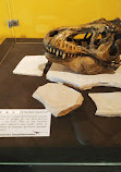 Museo de Paleontología Eliseo Palacios Aguilera