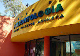 Museo de Paleontología Eliseo Palacios Aguilera