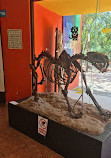 Museo de Paleontología Eliseo Palacios Aguilera