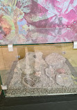 Museo de Paleontología Eliseo Palacios Aguilera