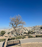 Amman Citadel