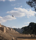 Amman Citadel