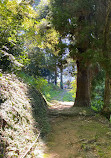 Batumi Botanical Garden