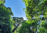 Batumi Botanical Garden