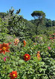 Batumi Botanical Garden