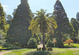 Batumi Botanical Garden