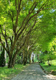 Batumi Botanical Garden