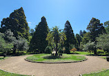 Batumi Botanical Garden