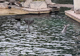 Dolphinarium in the zoo of Nuremberg