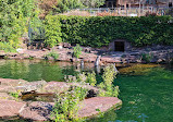 Dolphinarium in the zoo of Nuremberg