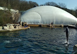 Dolphinarium in the zoo of Nuremberg