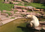 Dolphinarium in the zoo of Nuremberg