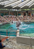 Delfinarium Zoo Duisburg