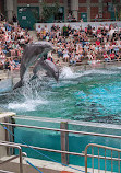 Delfinarium Zoo Duisburg