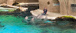 Delfinarium Zoo Duisburg