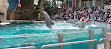 Delfinarium Zoo Duisburg