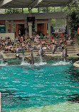 Delfinarium Zoo Duisburg