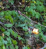 Oak Canyon Nature Center