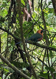 Arenal Volcano National Park Visitor Center