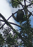 Arenal Volcano National Park Visitor Center