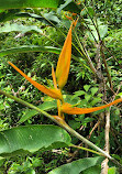 Arenal Volcano National Park Visitor Center