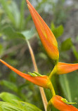 Arenal Volcano National Park Visitor Center