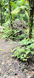 Arenal Volcano National Park Visitor Center