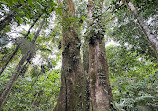 Arenal Volcano National Park Visitor Center