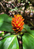 Arenal Volcano National Park Visitor Center