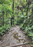 Arenal Volcano National Park Visitor Center