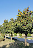 Seyhan Merkez Park