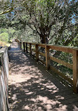 Buena Vista Park