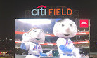 Citi Field