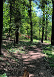 Arboretum Recreation Center