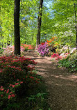 Arboretum Recreation Center