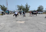 Grand Turk Lighthouse