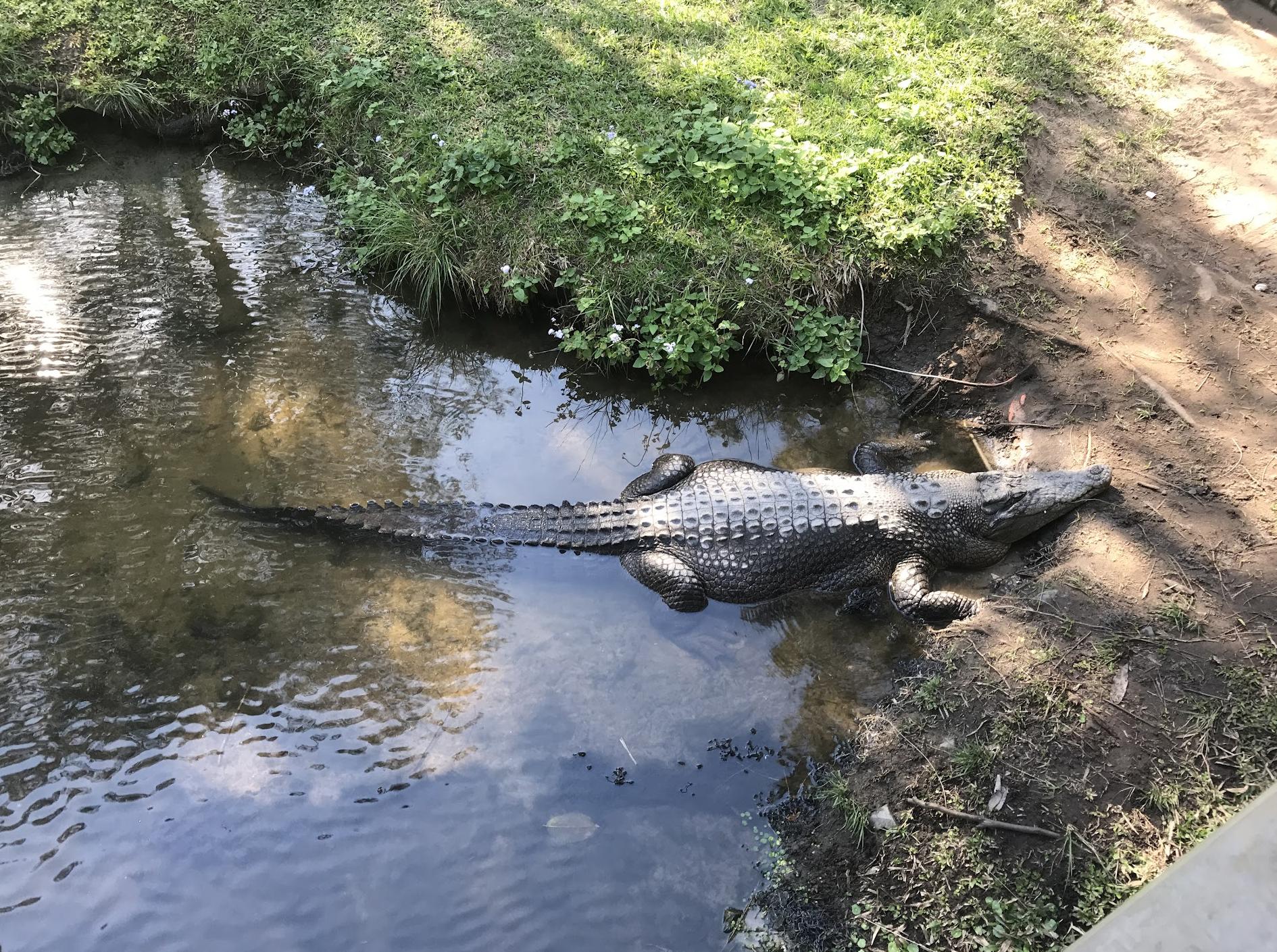 Fleays Wildlife Conservation Park