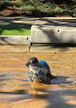 Broadwater Parklands Rockpools