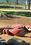 Broadwater Parklands Rockpools