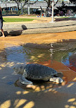 Broadwater Parklands Rockpools