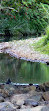 Currumbin Rock Pools