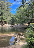 Currumbin Rock Pools