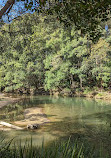 Currumbin Rock Pools