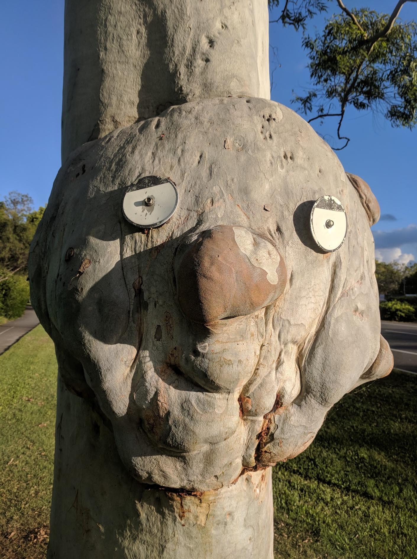 Robina Lake Resort