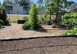 Coombabah Community Garden